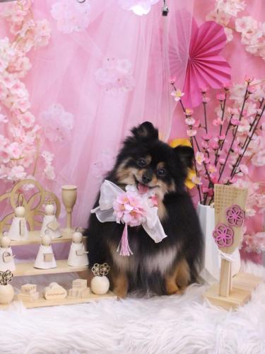 20250307アンバーちゃん